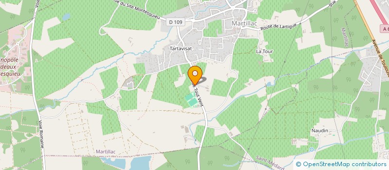 localisation de l'entreprise MONSIEUR THIERRY BERINGER  MARTILLAC