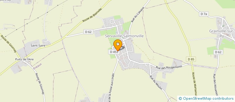 localisation de l'entreprise MONSIEUR THIERRY BIZIEN  SERVAVILLE-SALMONVILLE