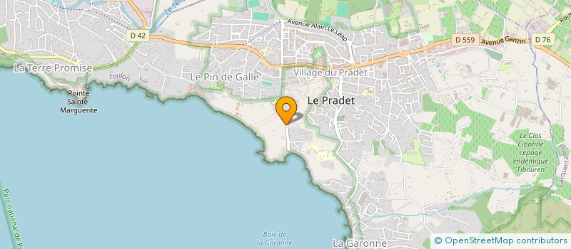 localisation de l'entreprise MONSIEUR THIERRY BLUM à LE PRADET
