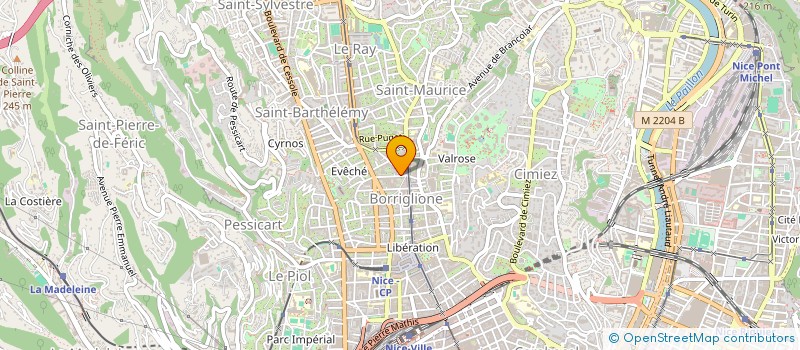 localisation de l'entreprise MONSIEUR THIERRY BOISSIN à NICE