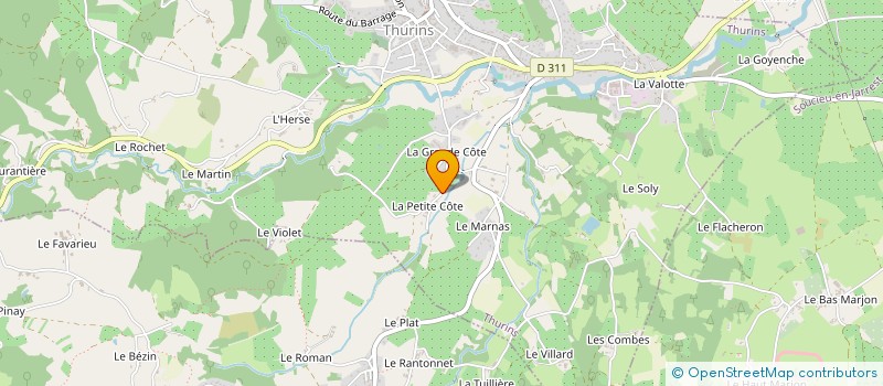 localisation de l'entreprise MONSIEUR THIERRY BONJOUR  THURINS