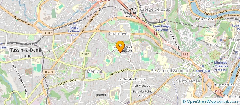 localisation de l'entreprise MONSIEUR THIERRY BOUCHEX BELLOMIE à LYON