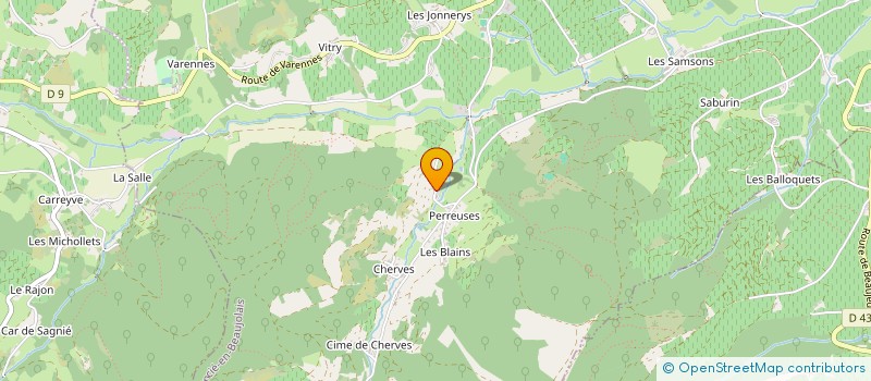 localisation de l'entreprise MONSIEUR THIERRY BOURGEON  DEUX-GROSNES