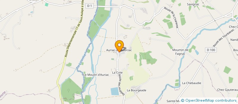 localisation de l'entreprise MONSIEUR THIERRY BOURINET  BOUTEILLES-SAINT-SEBASTIEN