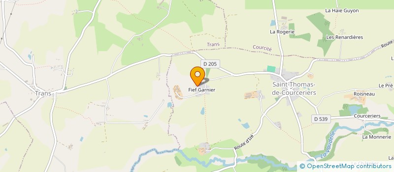 localisation de l'entreprise MONSIEUR THIERRY BRIFFAULT à SAINT-THOMAS-DE-COURCERIERS