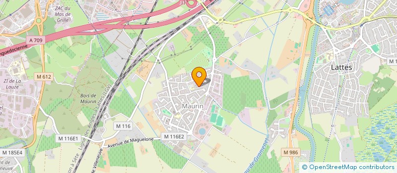 localisation de l'entreprise MONSIEUR THIERRY BROMBLET à LATTES