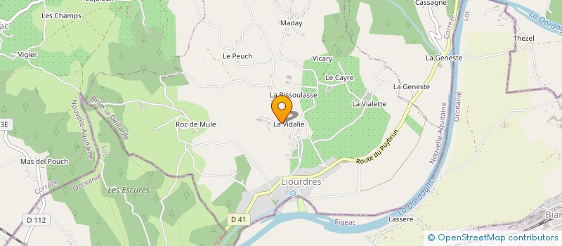 localisation de l'entreprise MONSIEUR THIERRY BROUSSE  LIOURDRES