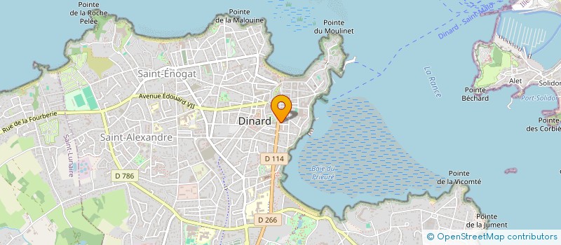 localisation de l'entreprise MONSIEUR THIERRY BURLOT  DINARD