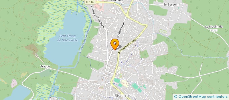 localisation de l'entreprise MONSIEUR THIERRY BUZON  BISCARROSSE