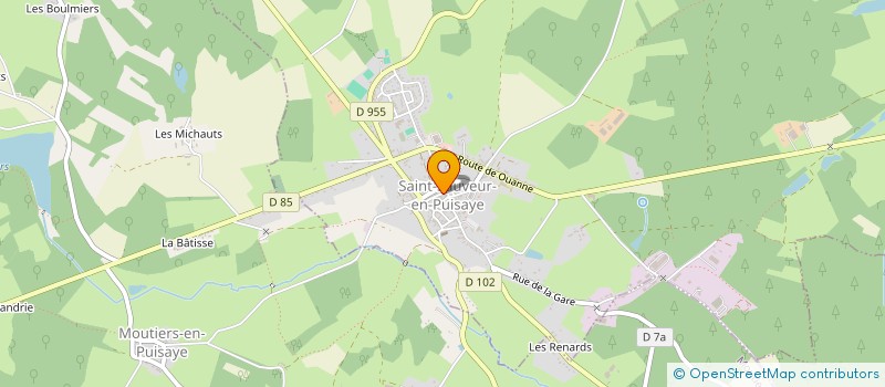 localisation de l'entreprise MONSIEUR THIERRY CAGNAT  SAINT-SAUVEUR-EN-PUISAYE