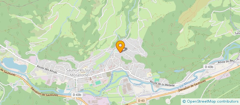 localisation de l'entreprise MONSIEUR THIERRY CURIEN  SAULXURES-SUR-MOSELOTTE