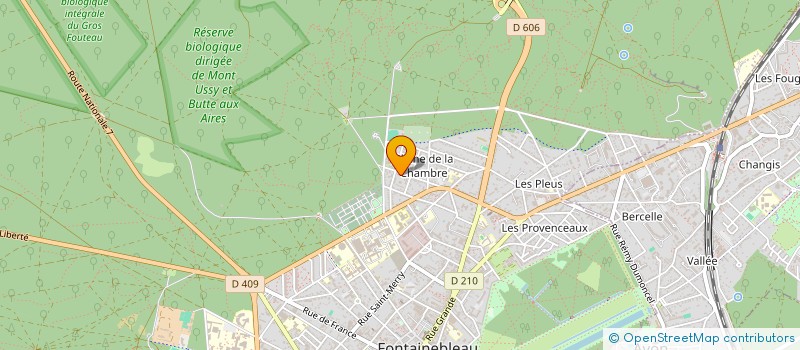 localisation de l'entreprise MONSIEUR THIERRY DANET à FONTAINEBLEAU