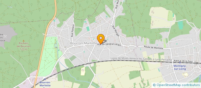 localisation de l'entreprise MONSIEUR THIERRY DAVID  BOURRON-MARLOTTE