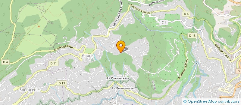 localisation de l'entreprise MONSIEUR THIERRY DE BASCHMAKOFF  CABRIS