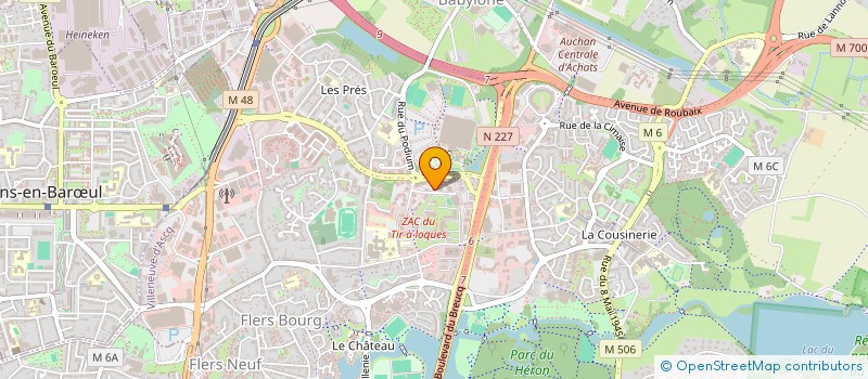localisation de l'entreprise MONSIEUR THIERRY DE BELS à LILLE