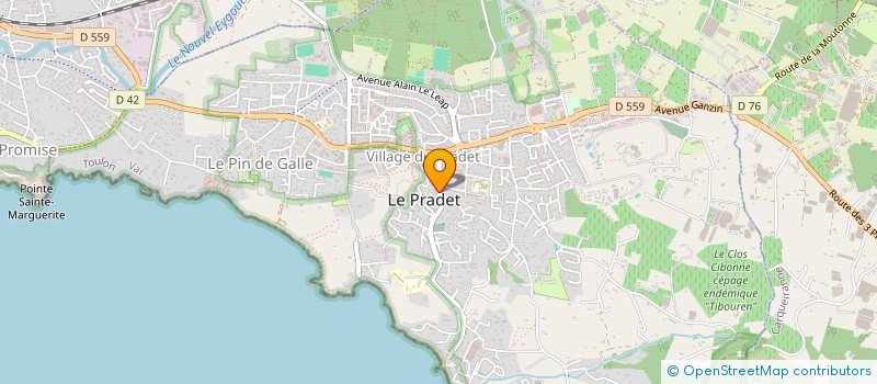 localisation de l'entreprise MONSIEUR THIERRY DECHAMP à LE PRADET