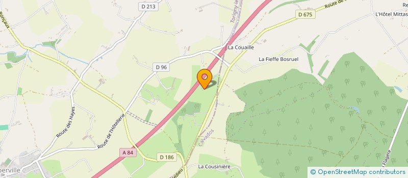 localisation de l'entreprise MONSIEUR THIERRY DECLOMESNIL à TORIGNY-LES-VILLES