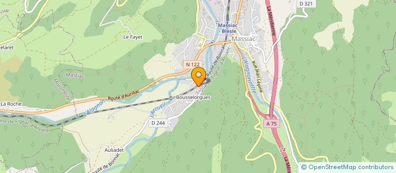 localisation de l'entreprise MONSIEUR THIERRY DELOS à MASSIAC