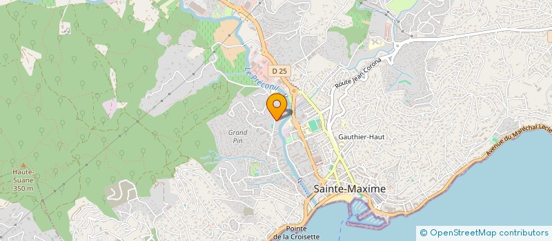 localisation de l'entreprise MONSIEUR THIERRY DEMARIA à SAINTE-MAXIME