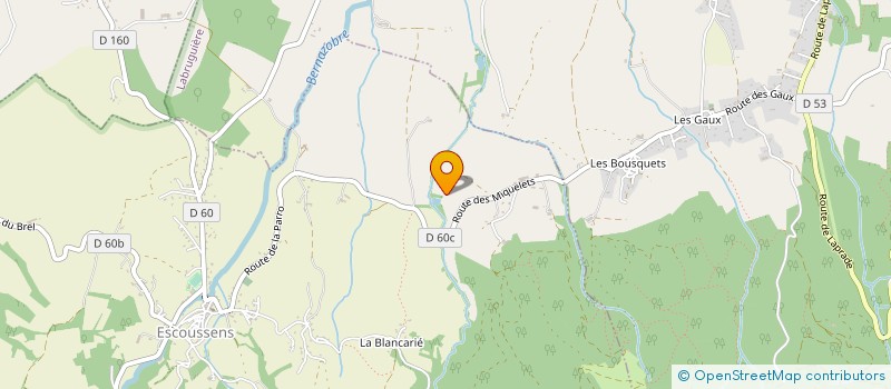 localisation de l'entreprise MONSIEUR THIERRY DEMET  ESCOUSSENS