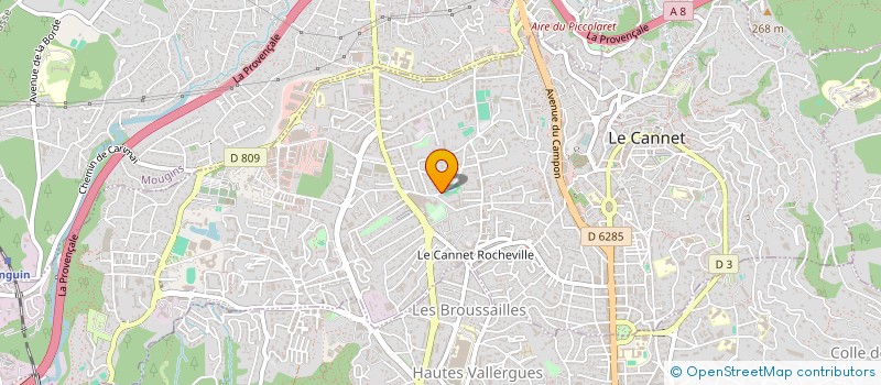 localisation de l'entreprise MONSIEUR THIERRY DION à LE CANNET