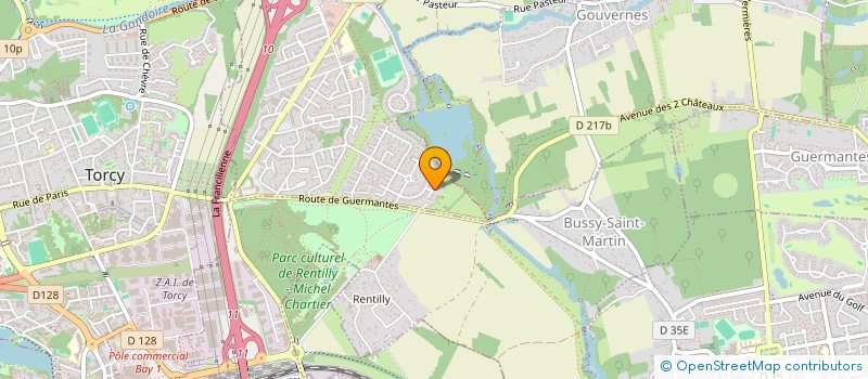 localisation de l'entreprise MONSIEUR THIERRY DIONOT  SAINT-THIBAULT-DES-VIGNES