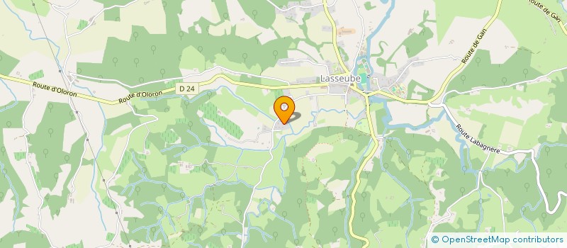 localisation de l'entreprise MONSIEUR THIERRY DULON  LASSEUBE