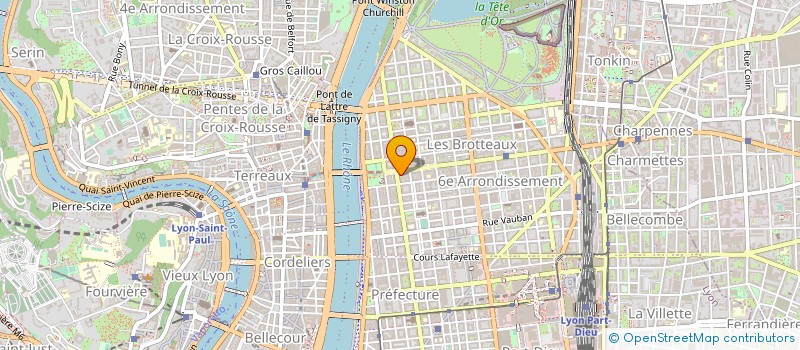 localisation de l'entreprise MONSIEUR THIERRY DUMOULIN à LYON