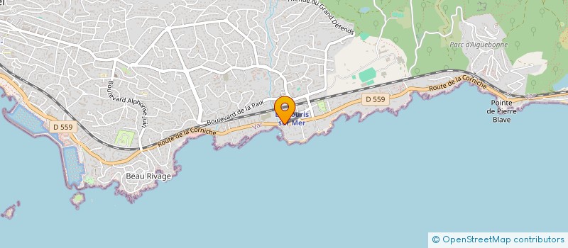 localisation de l'entreprise MONSIEUR THIERRY DUPART  SAINT-RAPHAEL