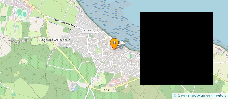 localisation de l'entreprise MONSIEUR THIERRY DUPLESSIS  LA FLOTTE