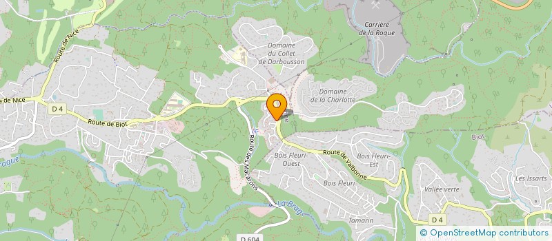 localisation de l'entreprise MONSIEUR THIERRY EGRAZ  VALBONNE