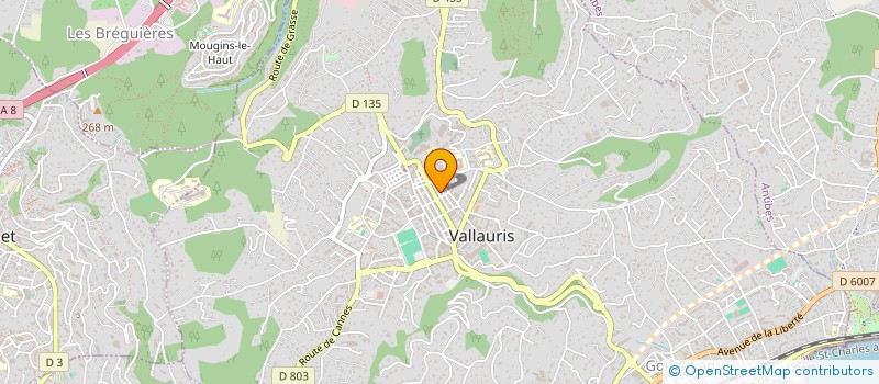 localisation de l'entreprise MONSIEUR THIERRY ELENA à VALLAURIS