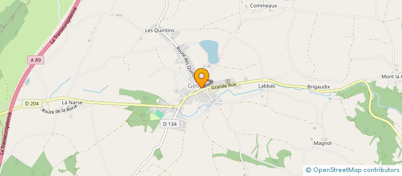 localisation de l'entreprise MONSIEUR THIERRY FAURE à GELLES