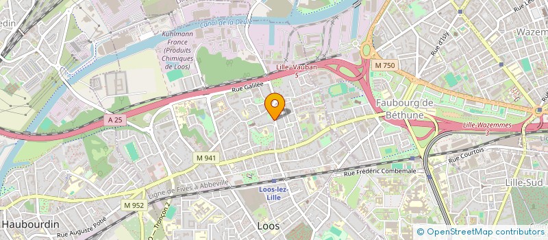 localisation de l'entreprise MONSIEUR THIERRY FINET  LOOS