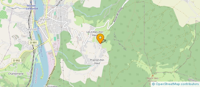 localisation de l'entreprise MONSIEUR THIERRY FONTAINE  SEYSSEL