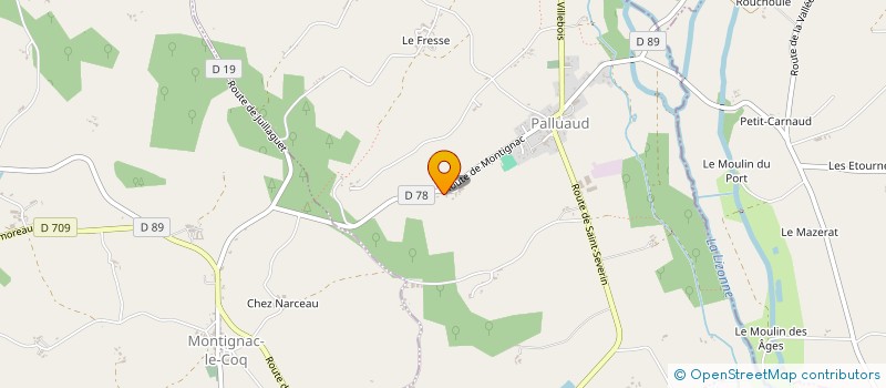 localisation de l'entreprise MONSIEUR THIERRY FONTENEAU  PALLUAUD