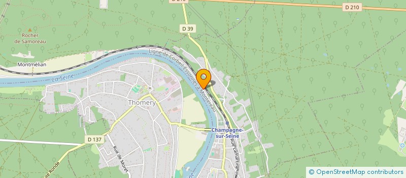 localisation de l'entreprise MONSIEUR THIERRY GRAND  CHAMPAGNE-SUR-SEINE