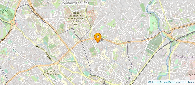 localisation de l'entreprise MONSIEUR THIERRY GRASSIA à MONTPELLIER