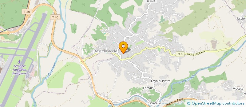 localisation de l'entreprise MONSIEUR THIERRY GRUAIST à BASTELICACCIA