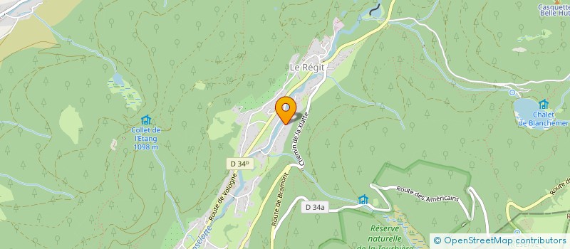 localisation de l'entreprise MONSIEUR THIERRY HECKMANN  LA BRESSE