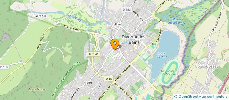 localisation de l'entreprise MONSIEUR THIERRY HUBLIN  DIVONNE-LES-BAINS