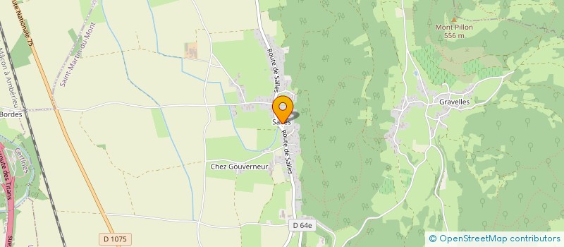 localisation de l'entreprise MONSIEUR THIERRY JALLAS  SAINT-MARTIN-DU-MONT