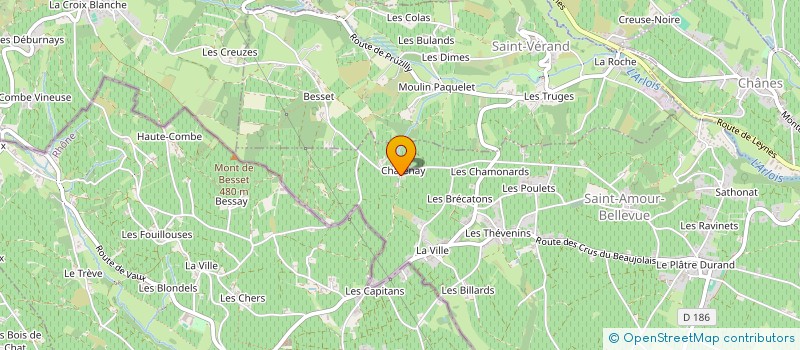 localisation de l'entreprise MONSIEUR THIERRY JANIN  SAINT-AMOUR-BELLEVUE