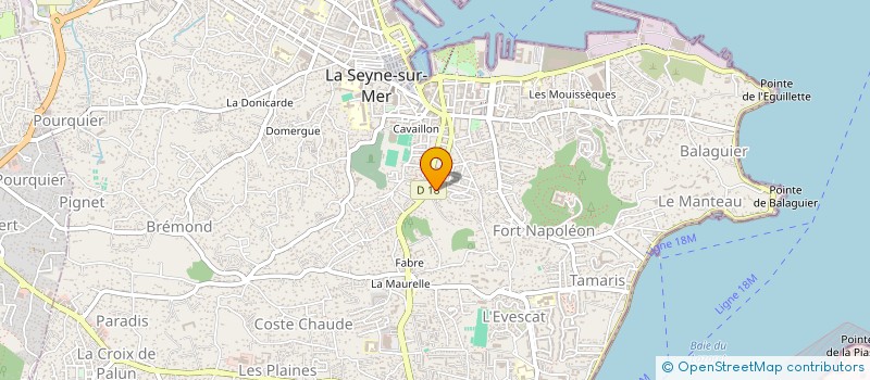 localisation de l'entreprise MONSIEUR THIERRY JOANNAIS à LA SEYNE-SUR-MER