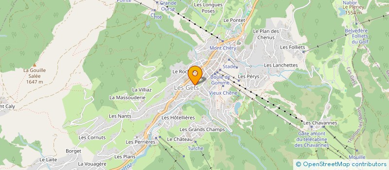 localisation de l'entreprise MONSIEUR THIERRY JOLIVET  LES GETS