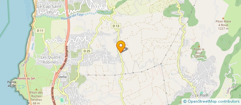 localisation de l'entreprise MONSIEUR THIERRY KASPROWICZ  SAINT-LEU