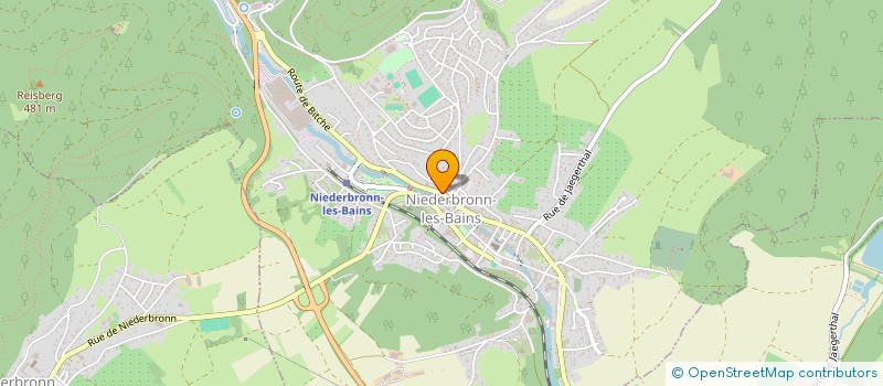 localisation de l'entreprise MONSIEUR THIERRY KOPP  NIEDERBRONN-LES-BAINS