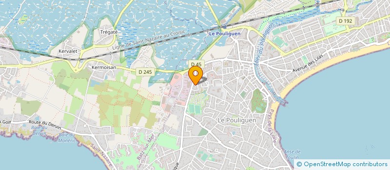 localisation de l'entreprise MONSIEUR THIERRY LAVEISSIERE à LE POULIGUEN