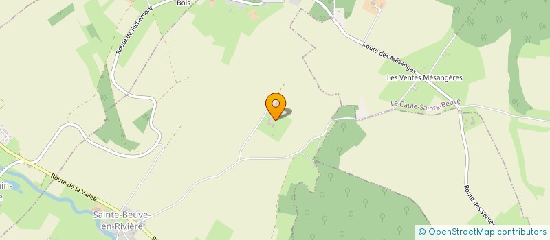 localisation de l'entreprise MONSIEUR THIERRY LECONTE  LE GRAND BORNAND