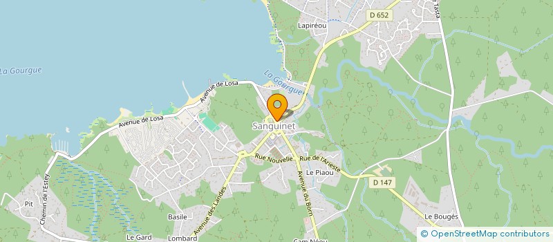 localisation de l'entreprise MONSIEUR THIERRY LEOPOLD  SANGUINET